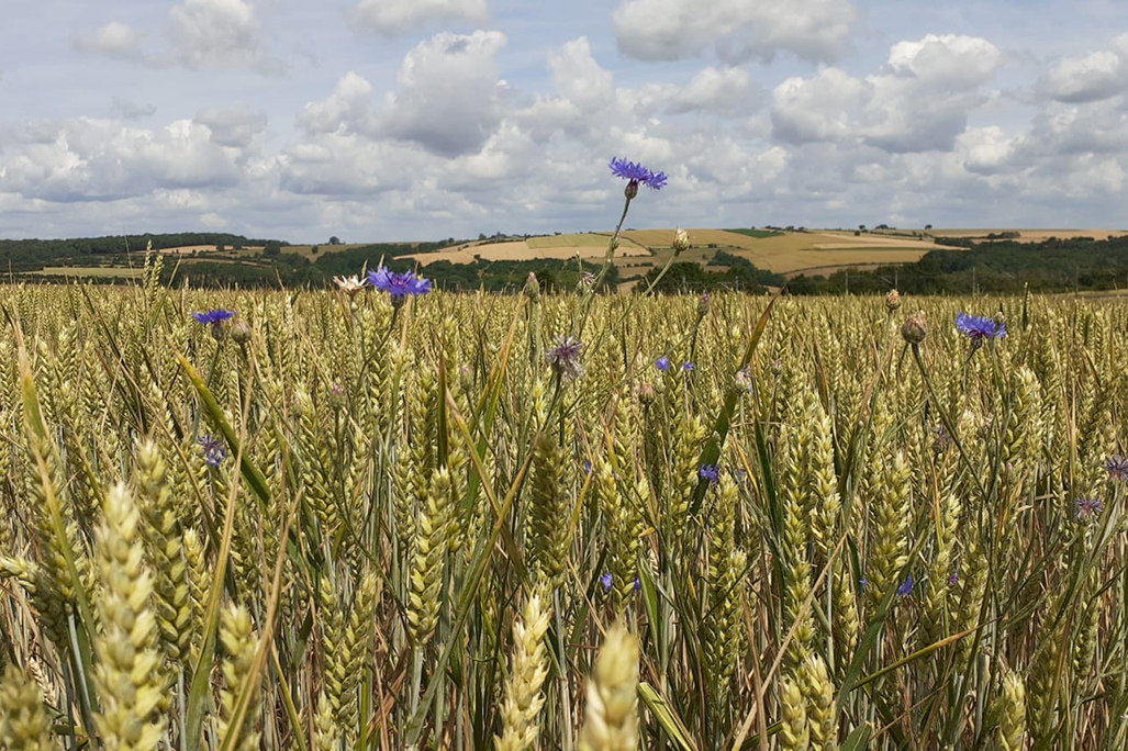 4_B4B-1028×684-img_Actus-WEB