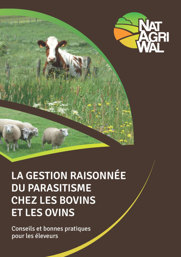 La gestion raisonnée du parasitisme chez les bovins et les ovins - FR