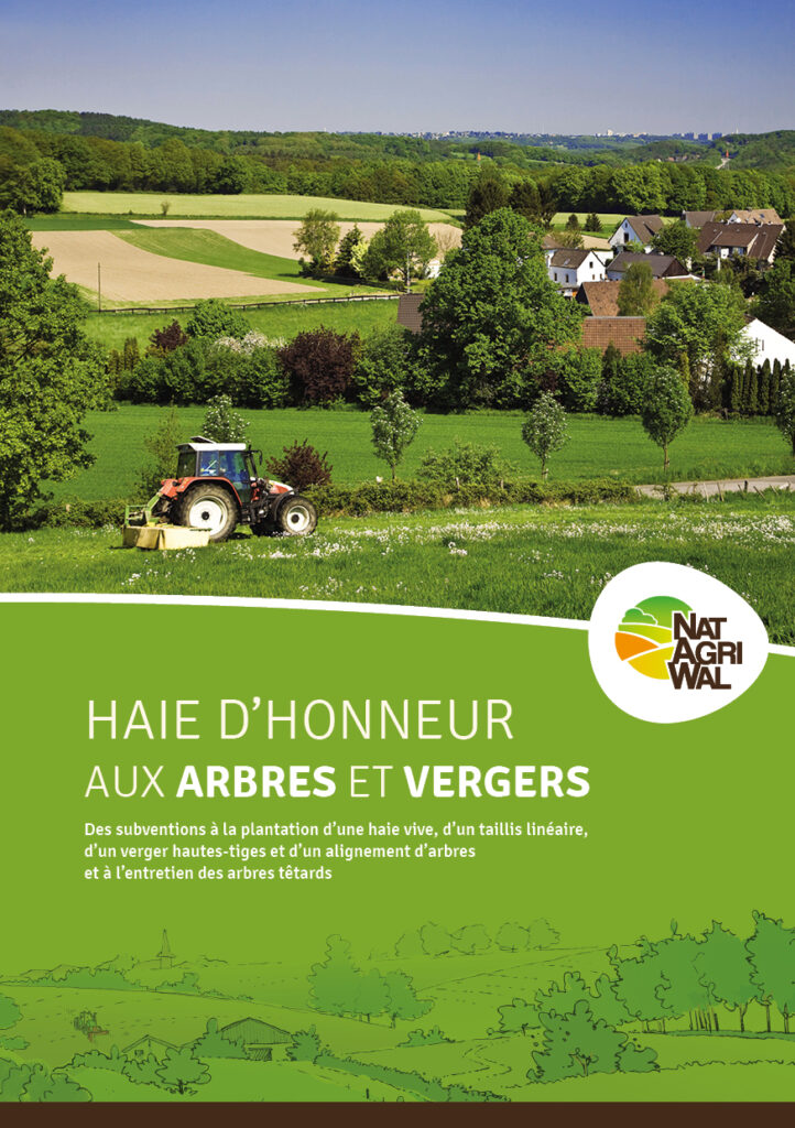 Des subventions à la plantation d’une haie vive, d’un taillis linéaire, d’un verger hautes-tiges et d’un alignement d’arbres et à l’entretien des arbres têtards