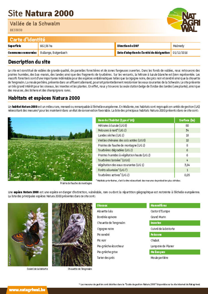 Bullange - Butgenbach