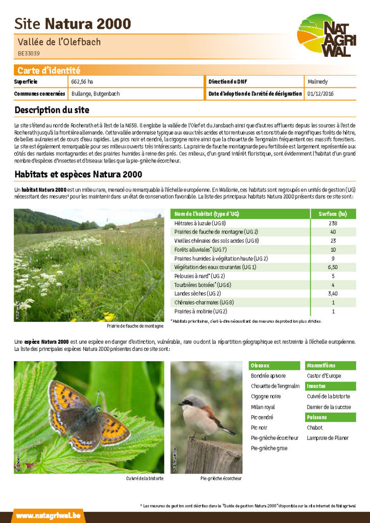 Bullange - Butgenbach