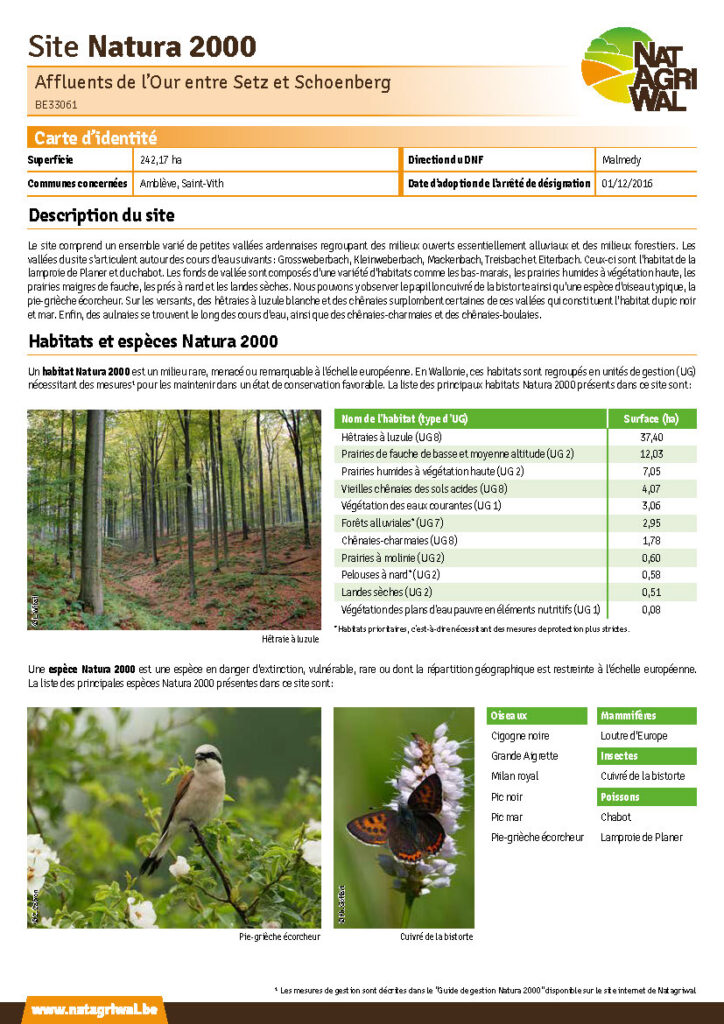 Amblève - Saint-Vith