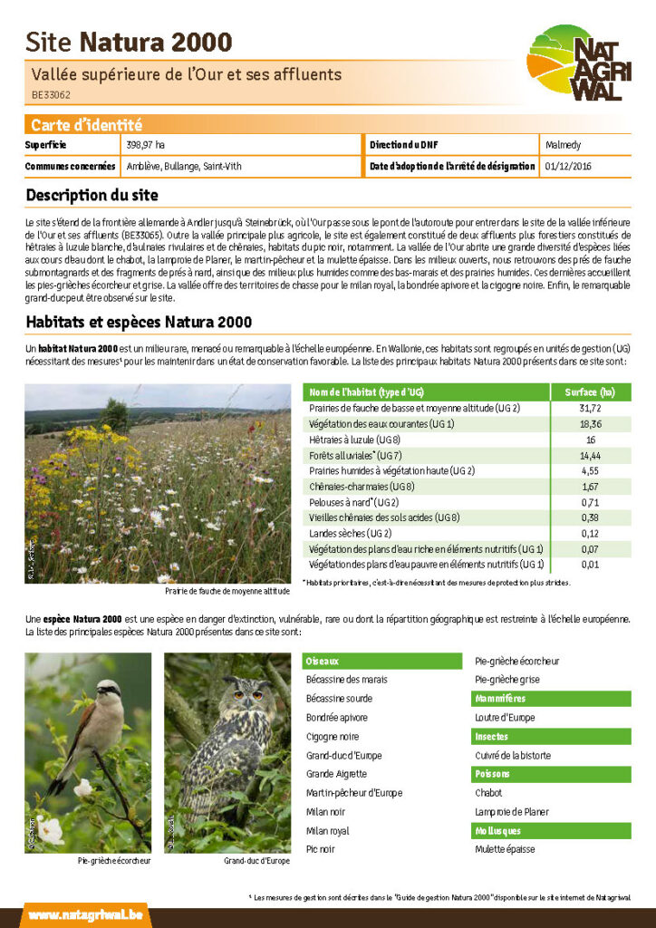 Amblève - Bullange - Saint-Vith