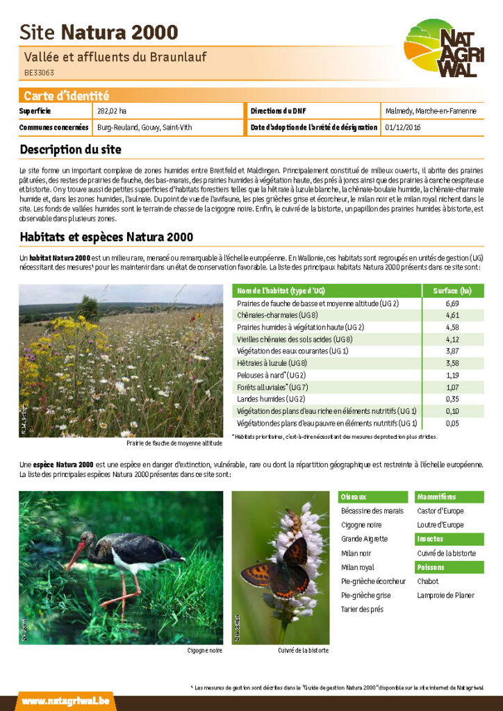 Burg-Reuland - Gouvy - Saint-Vith