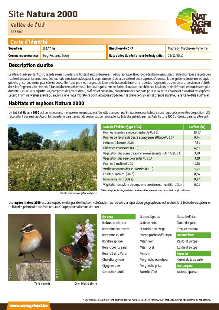 Burg-Reuland - Gouvy