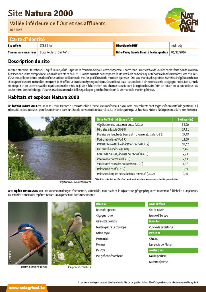 Burg-Reuland - Saint-Vith