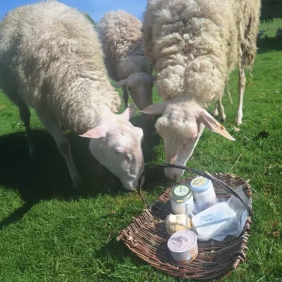 featured-lafermeduplanois featured-lafermeduplanois