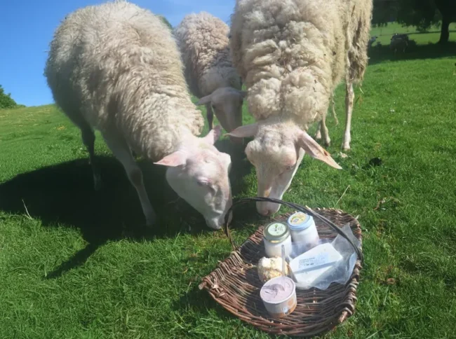 featured-lafermeduplanois