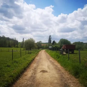 lafermeduplanois-5 lafermeduplanois-5