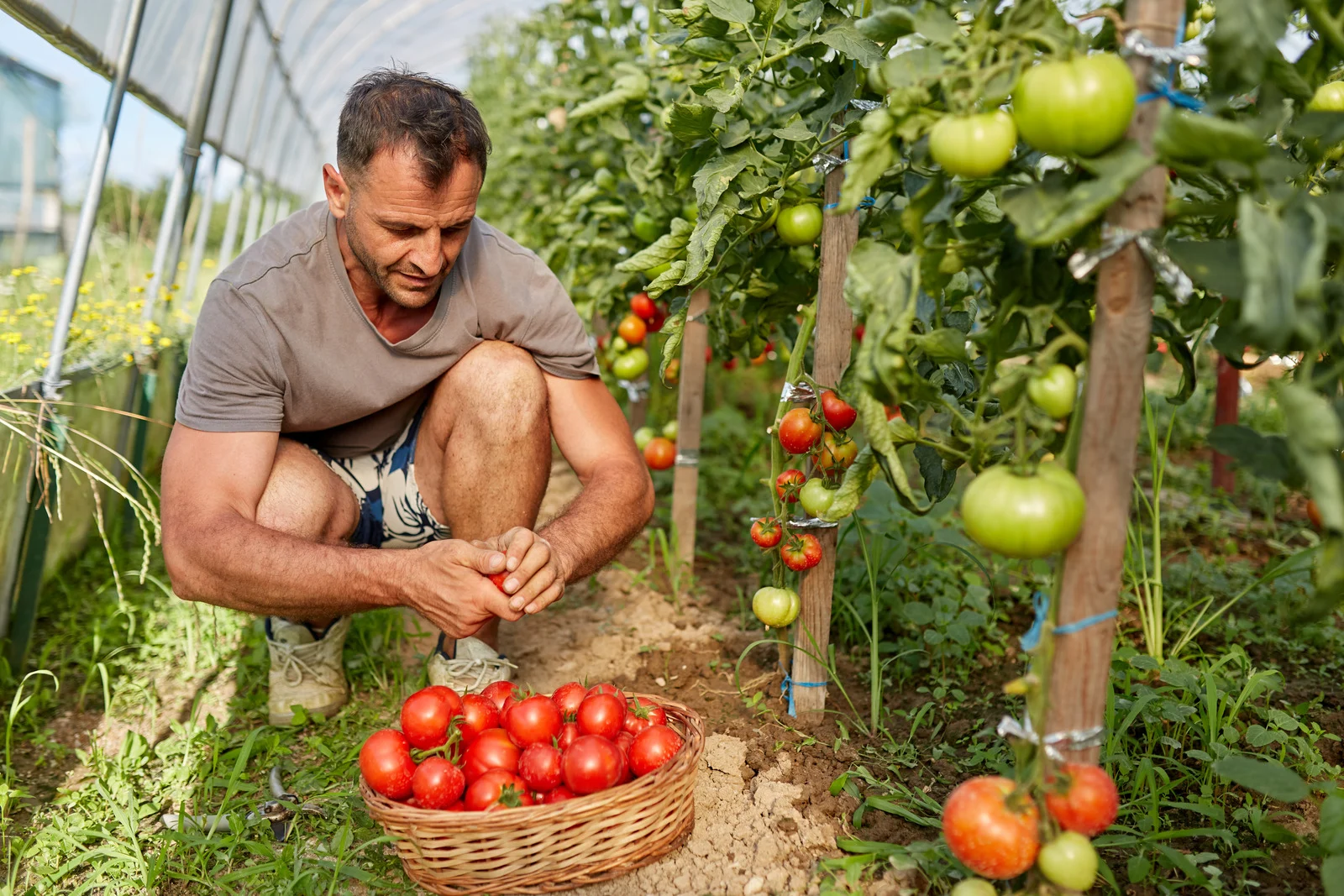 uri_ifs___M_TCKlzsrD4lN6jWxYFQMK99ROc4Pf31A9Ina6wCsrH9s