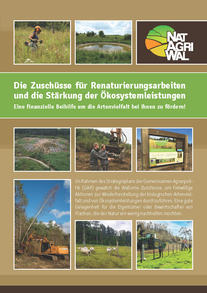Die Zuschüsse für Renaturierungsarbeiten und die Stärkung der Ökosystemleistungen - DE