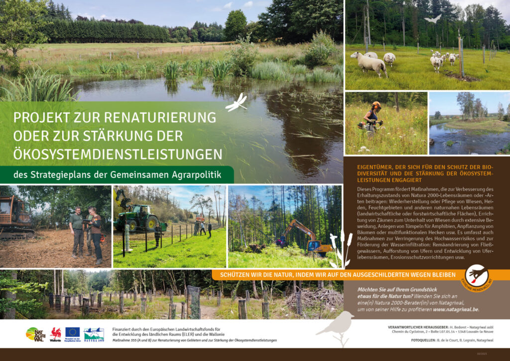 Projekt zur renaturierung oder zur stärkung der ökosystemdienstleistungen (355) - DE