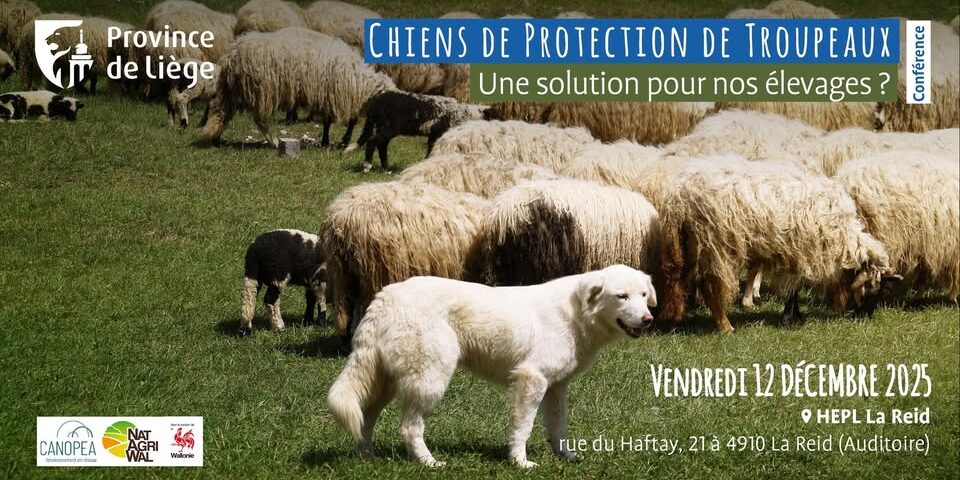 571352928_1222297789933322_4483174215791170385_n