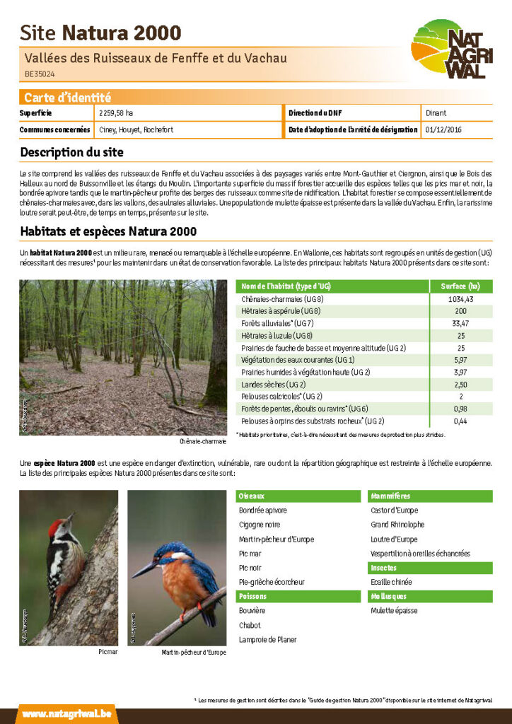 Ciney - Houyet - Rochefort