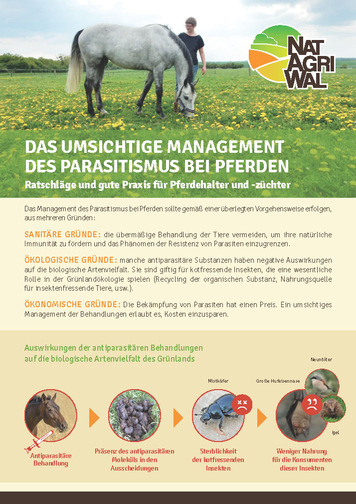 Das umsichtige management des parasitismus bei pferden - DE