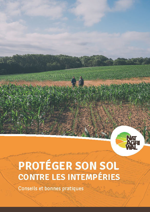 Protéger son sol contre les intempéries - Conseils et bonnes pratiques