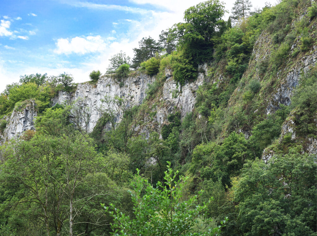 La randonnée présente un relief accidenté, une belle promenade le long de la Lesse. Pour ceux qui souhaiteraient prendre un raccourci, ils reviendront au château par une sévère remontée dans la forêt suivie d’un trajet champêtre dans les campagnes de Furfooz.
