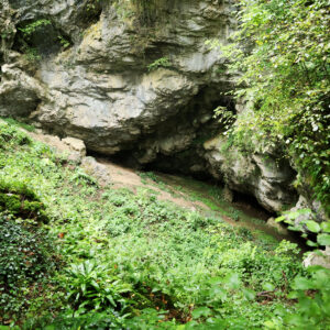 1118x832-petite-image-2