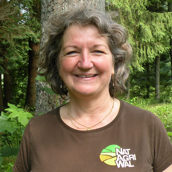 noresize-ARMEE