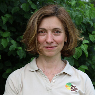 noresize-DOPIR