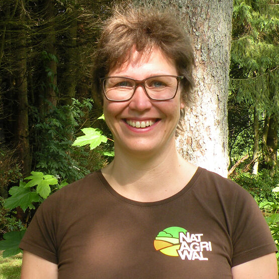 noresize-STGOF