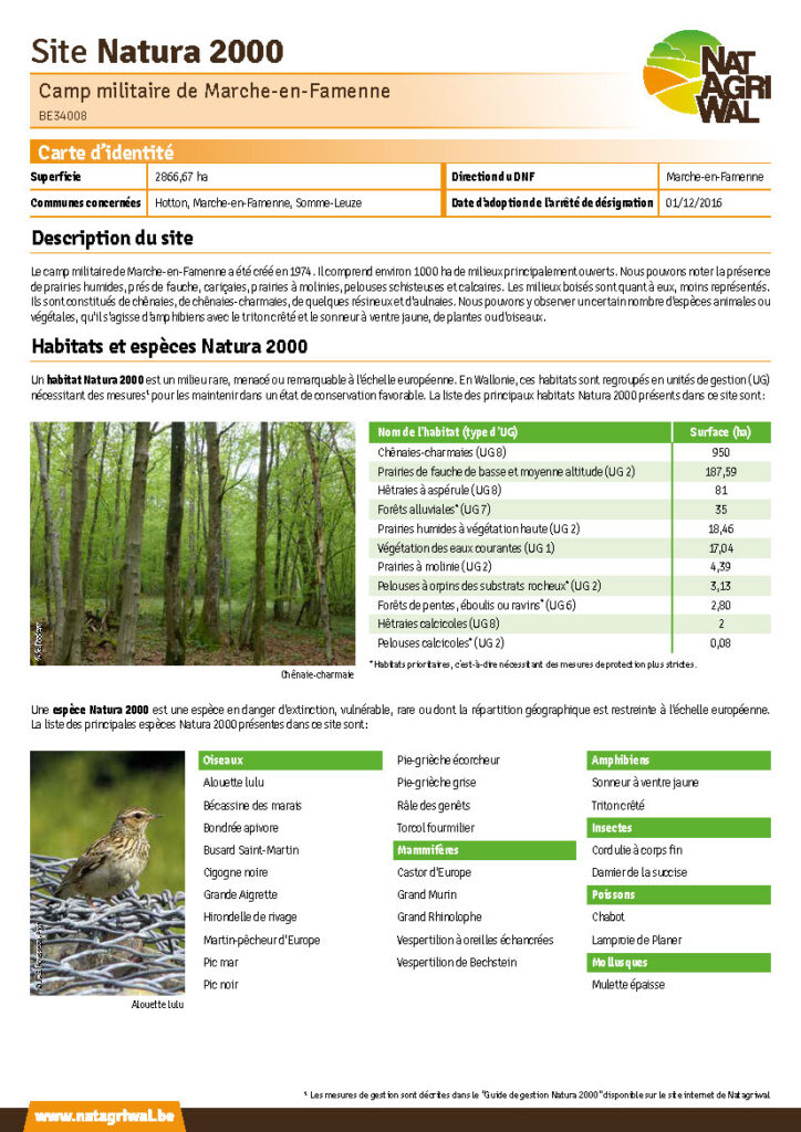 Hotton - Marche-en-Famenne - Somme-Leuze