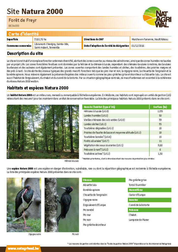Libramont-Chevigny - Sainte-Ode - Saint-Hubert - Tenneville