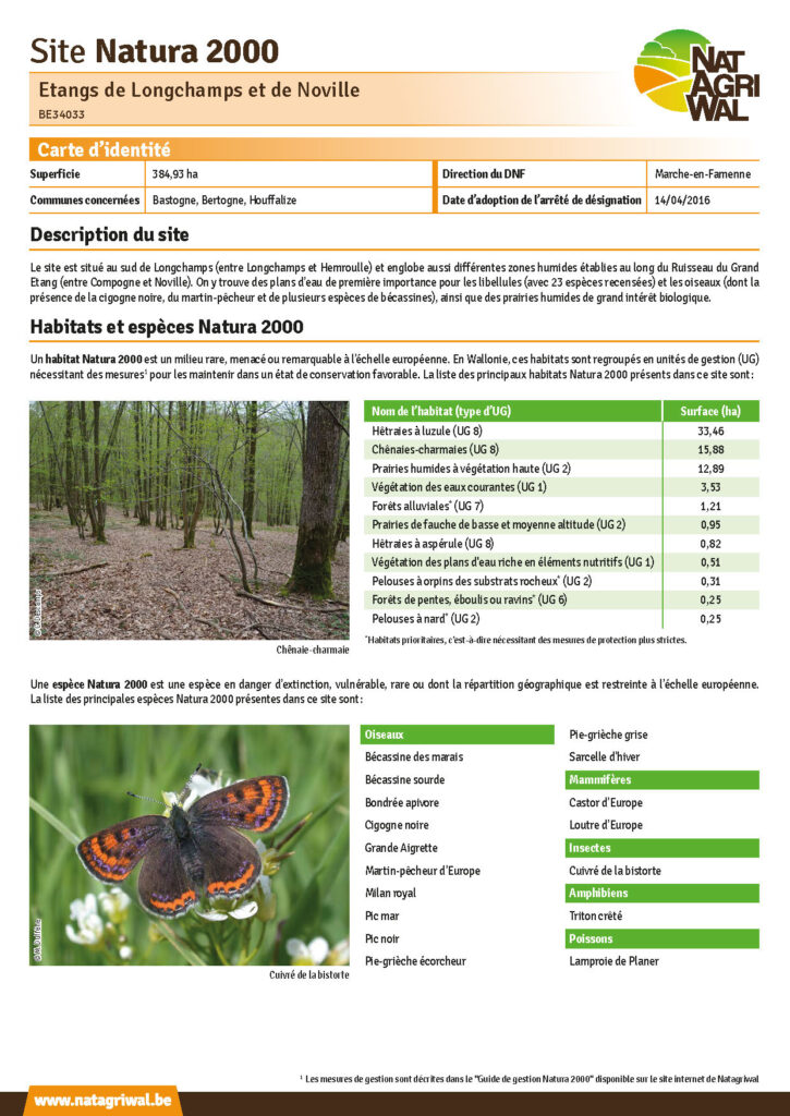Bastogne - Bertogne - Houffalize
