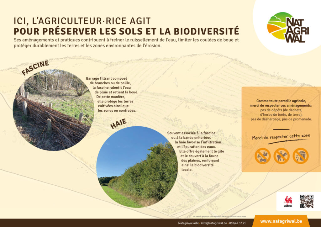Panneau « Ici, l’agriculteur·rice agit – Fascine et haie »
