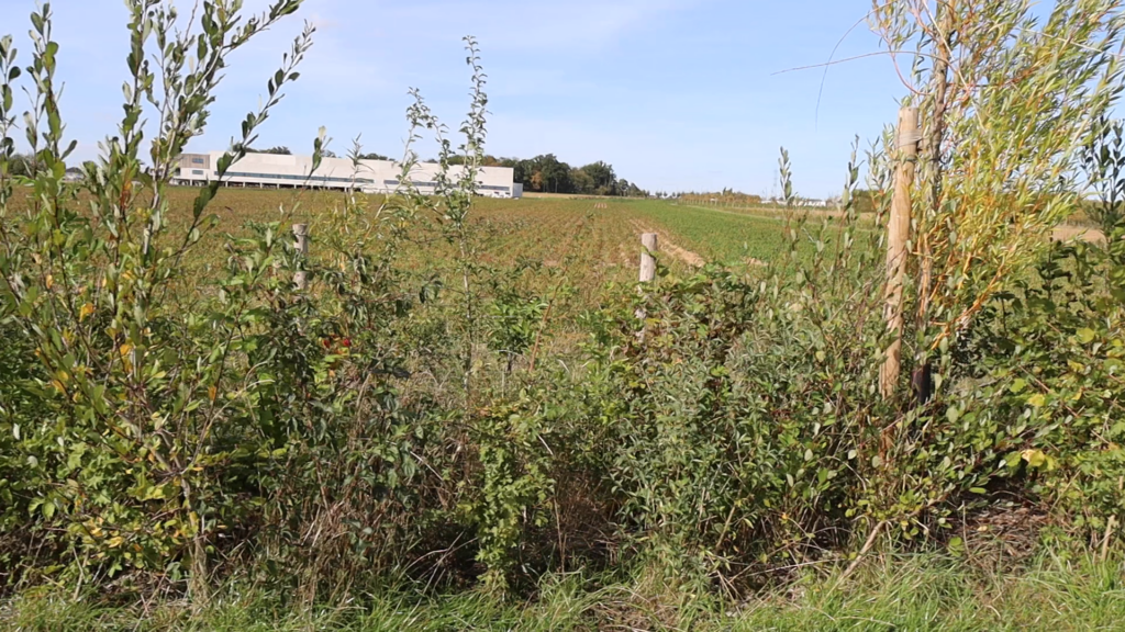 Shotcut_00_04_44_200